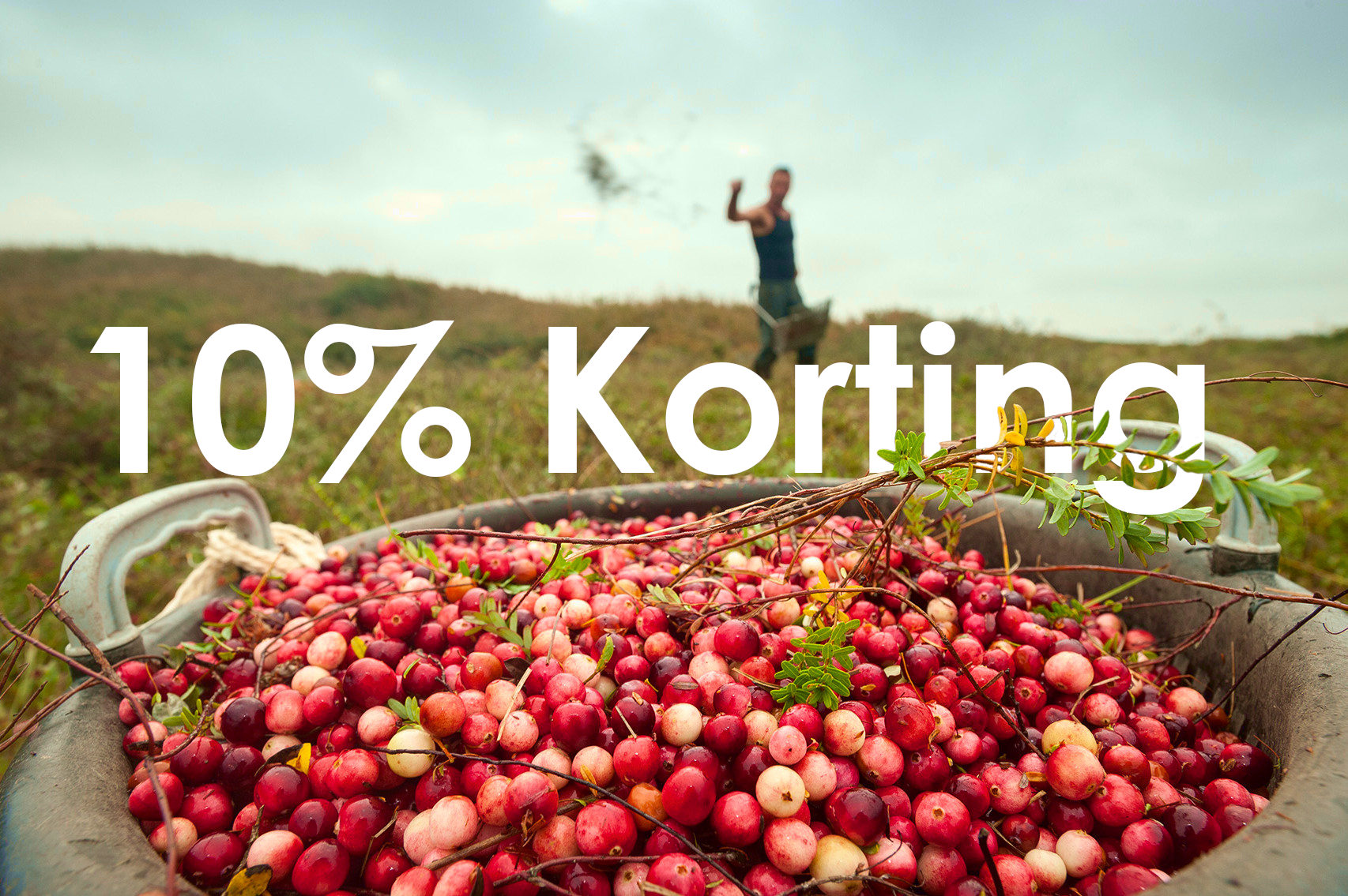 Korting 10% zt